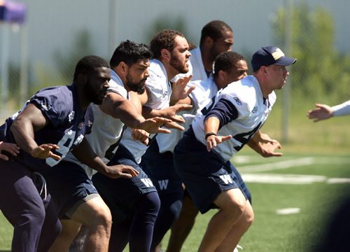 WINNIPEG BLUE BOMBERS WALK THROUGH PRACTICE - Linesmen go through some drills.  BORIS MINKEVICH/WINNIPEG FREE PRESS June 18, 2015