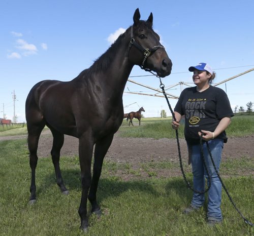Zdeno, a Free Press Stakes favourite and Groom Lisa Smith at the  Assiniboia Downs  backstretch Thursday . Former Horse of the Year Zdeno gets first real test on comeback trail in Free Press Stakes on Father's Day.   George Williams  story Wayne Glowacki / Winnipeg Free Press June 18  2015