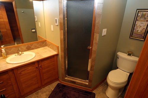 78 St. Michaels Road in St. Vital. Realtor Lynda Mackie. Basement bathroom. BORIS MINKEVICH/WINNIPEG FREE PRESS June 23, 2015