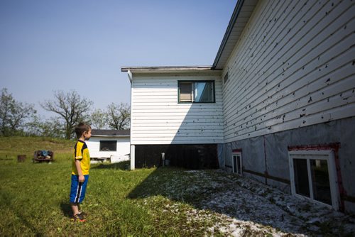 Austin Peters, 6, looks at the damage that the hail has done to their house just north of Roseisle, Manitoba on Saturday, June 27, 2015.   Mikaela MacKenzie / Winnipeg Free Press