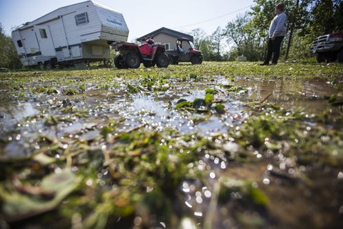 Arran McDonald surveys the damage done to his uncle's property just north of Roseisle on Saturday, June 27, 2015.   Mikaela MacKenzie / Winnipeg Free Press