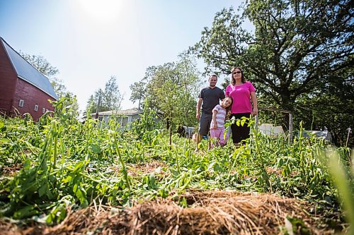 Dylan Steuart (left), Ruby Steuart, and Bronwyn Ward survey the damage of their vegetable garden after a severe storm in Roseisle, Manitoba damaged houses, cars, and crops on Saturday, June 27, 2015.   Mikaela MacKenzie / Winnipeg Free Press