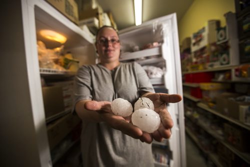 Reena Spearman holds up pieces of hail that she saved in the freezer from a severe storm in Roseisle, Manitoba that damaged houses, cars, and crops on Saturday, June 27, 2015.   Mikaela MacKenzie / Winnipeg Free Press