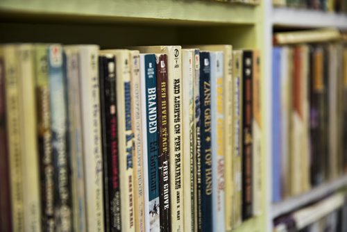 Darren Becker is the owner of the Selkirk Book Exchange, a used book store with about 40,000 books and a staff of one. Mikaela MacKenzie / Winnipeg Free Press