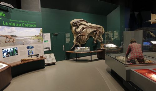 The Manitoba Museum. This part of the museum shows the richness of the prehistoric animals that once inhabited the prairies. BORIS MINKEVICH/WINNIPEG FREE PRESS July 1, 2015