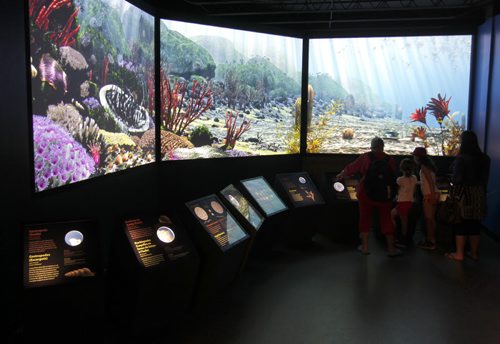 The Manitoba Museum. The simulated underwater exhibit is enjoyed by a few people.  BORIS MINKEVICH/WINNIPEG FREE PRESS July 1, 2015