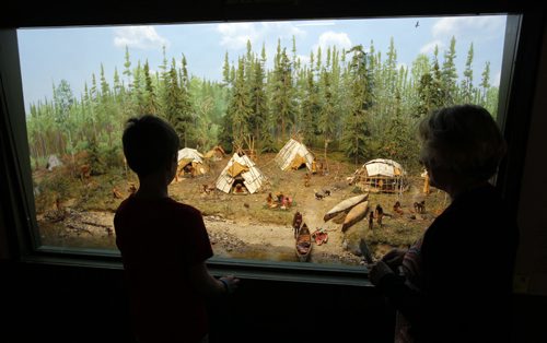 The Manitoba Museum. Dioramas are a visitors favourite. BORIS MINKEVICH/WINNIPEG FREE PRESS July 1, 2015