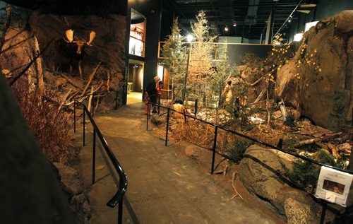 The Manitoba Museum. There are several life size scenes of how Manitoba's lived in the old days. BORIS MINKEVICH/WINNIPEG FREE PRESS July 1, 2015