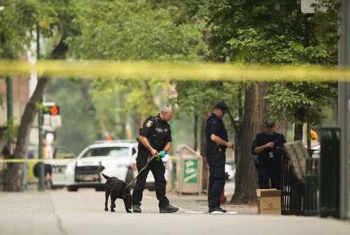 Police and a K-9 unit investigate at Broadway and Hargrave in Winnipeg on Friday, July 3, 2015. Mikaela MacKenzie / Winnipeg Free Press