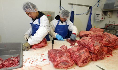 (L-R) Brothers Jason and Ryan Garces work. They are recent R.B. Russell School grads who now work as meat cutters in To-Le-Dos main production plant. Its for a story on the need for more meat cutters and the ongoing challenge of attracting young people to the trade. BORIS MINKEVICH/WINNIPEG FREE PRESS July 8, 2015