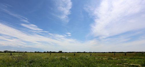 Winnipeg Search and Rescue, (WINSAR) searhing for Thelma Krull in East Kildonan, Sunday, July 12, 2015. (TREVOR HAGAN/WINNIPEG FREE PRESS)