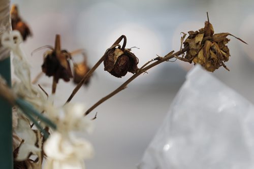 July 12, 2015 - 150712  -  On Monday, July 13, 2015 dead and artificial flowers hang from this lamp post on Keewatin at Burrows where Gloria Davey was killed when she was hit by a city bus.  John Woods / Winnipeg Free Press