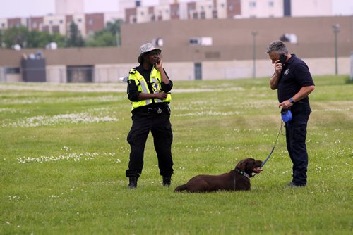 The dog from the fire commissioners office was called in to help scour the area around in behind Kildonan East Collegiate school. S earch for missing Thelma Krull. BORIS MINKEVICH/WINNIPEG FREE PRESS July 14, 2015