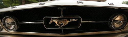 The legendary pony gallops across the grille of Terry Shwaykosky's 1966 Mustang GT Convertable. See story. July 14, 2015 - (Phil Hossack / Winnipeg Free Press)
