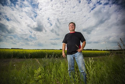 Doug Chorney, East Selkirk farmer, stands by his canola fields on Wednesday, July 15, 2015.  The haze has created optimal conditions for growing, and Manitoba is looking forward to a number harvest this year.   Mikaela MacKenzie / Winnipeg Free Press