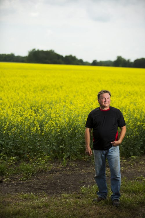 Doug Chorney, East Selkirk farmer, stands by his canola fields on Wednesday, July 15, 2015.  The haze has created optimal conditions for growing, and Manitoba is looking forward to a bumper harvest this year.   Mikaela MacKenzie / Winnipeg Free Press