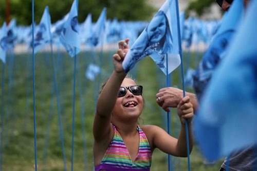 Cool Gardens:  Eight-year-old Isobel MacLean looks through hundreds of photographs of people placed on blue flags at one of the Cool Gardens art exhibit titled, Cool Citizen Wednesday at the Forks.   See Jessica Botelho-Urbanski's story.  July 15,, 2015 Ruth Bonneville / Winnipeg Free Press