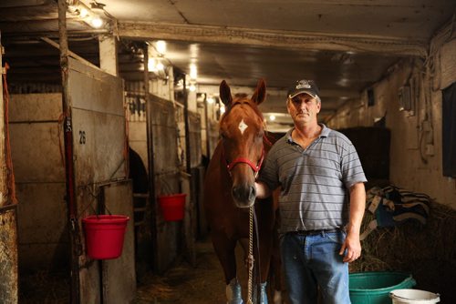 Elton Dickey, former standardbred trainer having big year in his first year as thoroughbred trainer, stands in the barn with his horse, Cat's Classy Rider, at the Assiniboia Downs stables on Thursday, July 16, 2015.  Mikaela MacKenzie / Winnipeg Free Press