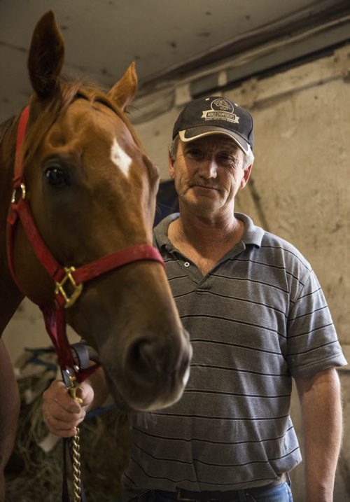 Elton Dickey, former standardbred trainer having big year in first year as thoroughbred trainer, stands in the barn with his horse, Cat's Classy Rider, at the Assiniboia Downs stables on Thursday, July 16, 2015.  Mikaela MacKenzie / Winnipeg Free Press