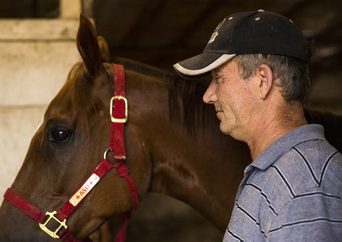 Elton Dickey, former standardbred trainer having big year in first year as thoroughbred trainer, stands in the barn with his horse, Cat's Classy Rider, at the Assiniboia Downs stables on Thursday, July 16, 2015.  Mikaela MacKenzie / Winnipeg Free Press