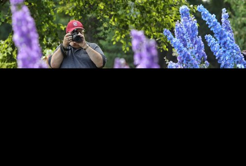 Dave Olinyk takes a photo during a stroll through the English Garden at Assiniboine Park Sunday. 150719 July 19, 2015 MIKE DEAL / WINNIPEG FREE PRESS