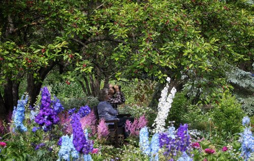 Irene and Ryan Porteous sit in the shade of a crabapple tree in the English Garden at Assiniboine Park Sunday. Ryan is an avid birder and brought his binoculars with him just in case, even though July is a lull season for songbirds.  150719 July 19, 2015 MIKE DEAL / WINNIPEG FREE PRESS