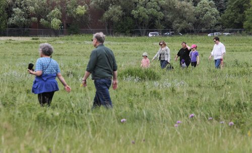 People walk the paths while at the 9th Annual Monarch Butterfly Festival at the Living Prairie Museum.  150719 July 19, 2015 MIKE DEAL / WINNIPEG FREE PRESS