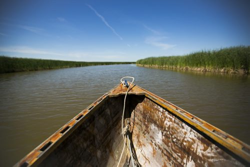 The Netley-Libau March just off Lake Winnipeg on Wednesday, July 22, 2015.  Because of continuous high water levels, the marsh ecosystem is suffering in many ways. Mikaela MacKenzie / Winnipeg Free Press