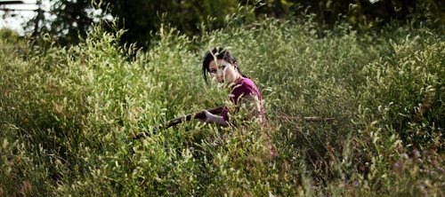 Indigenous searchers are scouring the fields in Elmwood and all of its walkways for clues to the strange disappearance of Thelma Krull, who vanished on a morning walk 11 days ago. Sonya Dubois works through head high clover in industrial wastelands along Raleigh street Wednesday evening. See Alex Paul's story. July 22, 2015 - (Phil Hossack / Winnipeg Free Press)