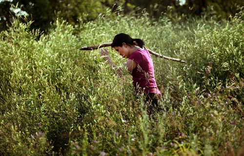 Indigenous searchers are scouring the fields in Elmwood and all of its walkways for clues to the strange disappearance of Thelma Krull, who vanished on a morning walk 11 days ago. Sonya Dubois works through head high clover in industrial wastelands along Raleigh street Wednesday evening. See Alex Paul's story. July 22, 2015 - (Phil Hossack / Winnipeg Free Press)