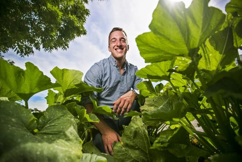 David Gingera, founder of Citigrow, stands in one of the 38 urban gardens they have this summer in Winnipeg on Thursday, July 23, 2015.  Mikaela MacKenzie / Winnipeg Free Press