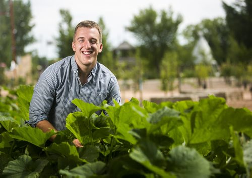 David Gingera, founder of Citigrow, in one of his 38 urban gardens in Winnipeg on Thursday, July 23, 2015.  Mikaela MacKenzie / Winnipeg Free Press