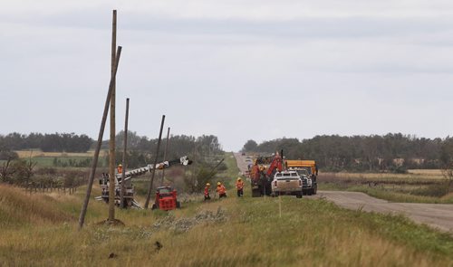 Hydro workers install new power poles after a couple kilometres of them were damaged by a tornado Monday night on Hwy 256 close to Tilston, MB.  150728 July 28, 2015 MIKE DEAL / WINNIPEG FREE PRESS