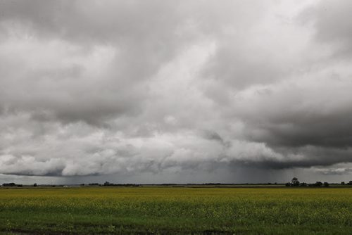 A storm cloud moves across the horizon along Hwy 256 close to Tilston, MB.  150728 July 28, 2015 MIKE DEAL / WINNIPEG FREE PRESS