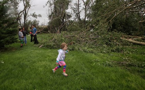 Allison Goforth, 3, runs across the yard of her great-grandfather Fred Raynor whose property was damaged by the tornado Monday night close to Tilston, MB.  150728 July 28, 2015 MIKE DEAL / WINNIPEG FREE PRESS