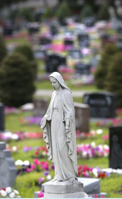 A statue of Mary on one of the grave stones surrounded by some of the 64,000 petunias that are in "perpetual care" in the Riverside Cemetery in Neepawa, Mb.  When people buy a plot, there's a fee attached to pay for the petunias, and every grave gets 24 petunias. This has been going on for the better part of a century. Bill Redekop story. Wayne Glowacki / Winnipeg Free Press July 28 201