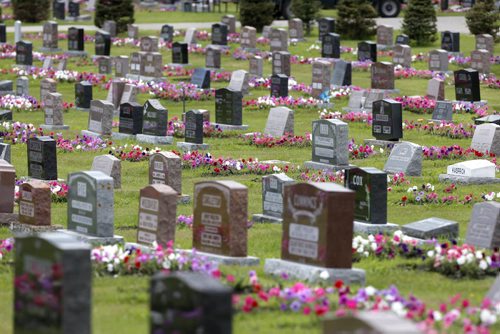 Some of the  64,000 petunias in "perpetual care" in the Riverside Cemetery in Neepawa, Mb.  When people buy a plot, there's a fee attached to pay for the petunias, and every grave gets 24 petunias. This has been going on for the better part of a century. Bill Redekop story. Wayne Glowacki / Winnipeg Free Press July 28 2015