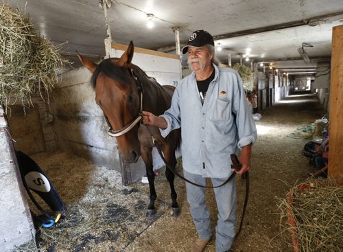 Trainer Charlie Smith with Spider's Alibi in a stable at Assiniboia Downs.   George Williams story Wayne Glowacki / Winnipeg Free Press July 30 2015