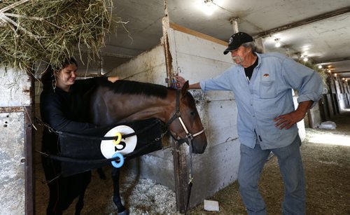 Trainer Charlie Smith with Spider's Alibi and groom Jessica Buell in a stable at Assiniboia Downs.   George Williams story Wayne Glowacki / Winnipeg Free Press July 30 2015