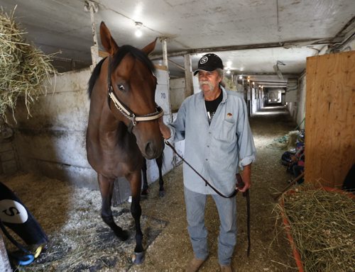 Trainer Charlie Smith with Spider's Alibi  in a stable at Assiniboia Downs.   George Williams story Wayne Glowacki / Winnipeg Free Press July 30 2015