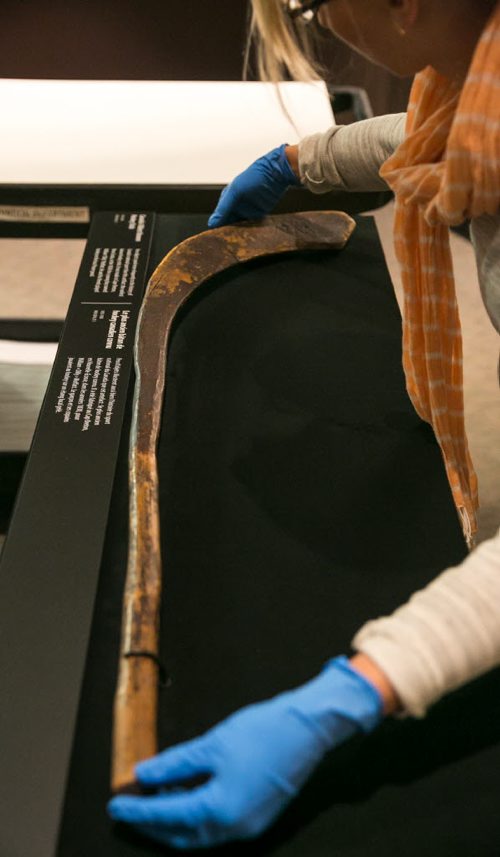 Carolyn Sirett, conservator at the Manitoba Museum, adjusts Canada's oldest known hockey stick on display from the Canadian Museum of History. The stick, which originates from Cape Breton in the 1830s, is shaped in the Mi'kmaq style from sugar maple wood. July 30, 2015 - MELISSA TAIT / WINNIPEG FREE PRESS