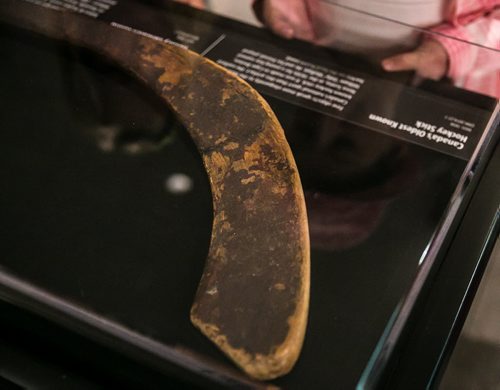 Canada's oldest known hockey stick on display at the Manitoba Museum, on loan from the Canadian Museum of History. The stick, which originates from Cape Breton in the 1830s, is shaped in the Mi'kmaq style from sugar maple wood. July 30, 2015 - MELISSA TAIT / WINNIPEG FREE PRESS