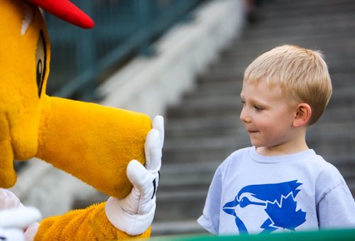 Mason Tugwell, 3, inspects Goldie's nose at a ball game at Shaw Park in Winnipeg on Friday, July 31, 2015.  Mikaela MacKenzie / Winnipeg Free Press