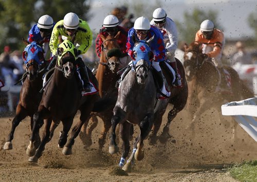 August 3, 2015 - 150803  -   Adolfo Morales riding Flashy Jewel leads around the bend of the 67th running of the Manitoba Derby at Assiniboia Downs Monday, August 3, 2015. Morales riding Flashy Jewel  lead from start to finish to take home the Manitoba Derby at Assiniboia Downs John Woods / Winnipeg Free Press