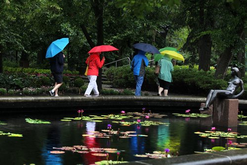 Family members carry colourful umbrella's while making their way past the lily pond in the Leo Mol Sculpture Garden on their way to a wedding rehearsal Wednesday evening in the rain.  Names from left - Dan Saydak (father of the groom), Marge (red) and Art Stubel and Joanne Saydak (yellow).  Standup photo  Aug 5, 2015 Ruth Bonneville / Winnipeg Free Press