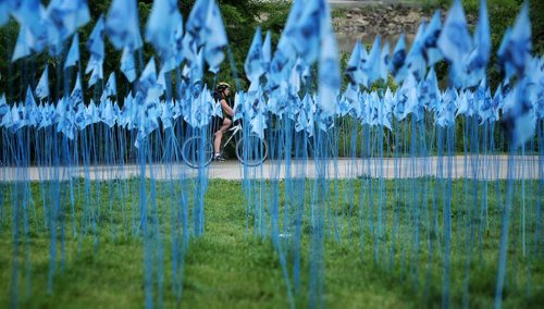 A Wednesday morning cyclist rides past an art installation called 'Citizen Garden,' which is over two thousand little blue flags at the foot of the Esplanade Riel bridge.  150806 August 06, 2015 MIKE DEAL / WINNIPEG FREE PRESS