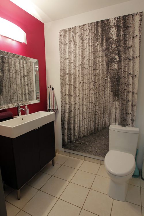 HOMES - 579 Carlaw Avenue in Fort Rouge (off Osborne Street) Realtor Tom Blumberg. Bathroom. BORIS MINKEVICH / WINNIPEG FREE PRESS PHOTO August 11, 2015