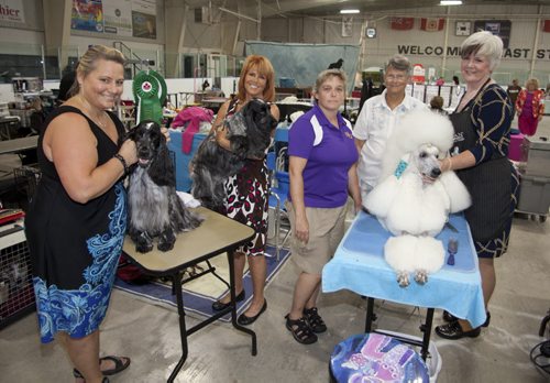 The 40th annual Manitoba Canine Association (MCA) show runs Aug. 13 to Aug. 16 at the East St. Paul Community Centre. This years show is a memorial for David Markus, one of the founders of the MCA. The show features dogs of all breeds from across North America and overseas. Some of the proceeds from this years event will go toward buying a vest for a local police dog. Pictured, from left, are Tracy Comberbach with Jagger, Maureen Hepples with Joey, Jill Fraser (MCA president), Harriett Lee (an event judge from Virginia) and Leanne MacIver with MacBeth, on Aug. 14, 2015. (JOHN JOHNSTON / WINNIPEG FREE PRESS)