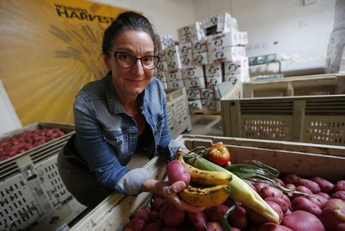 August 17, 2015 - 150817  -  Chris Albi, communications manager at Winnipeg Harvest, shows some of the fruits and vegetables that Harvest gives out Monday, August 17, 2015.  John Woods / Winnipeg Free Press