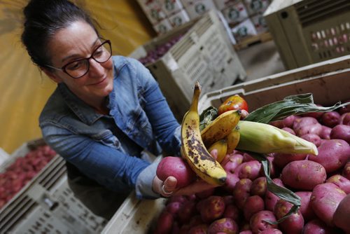 August 17, 2015 - 150817  -  Chris Albi, communications manager at Winnipeg Harvest, shows some of the fruits and vegetables that Harvest gives out Monday, August 17, 2015.  John Woods / Winnipeg Free Press